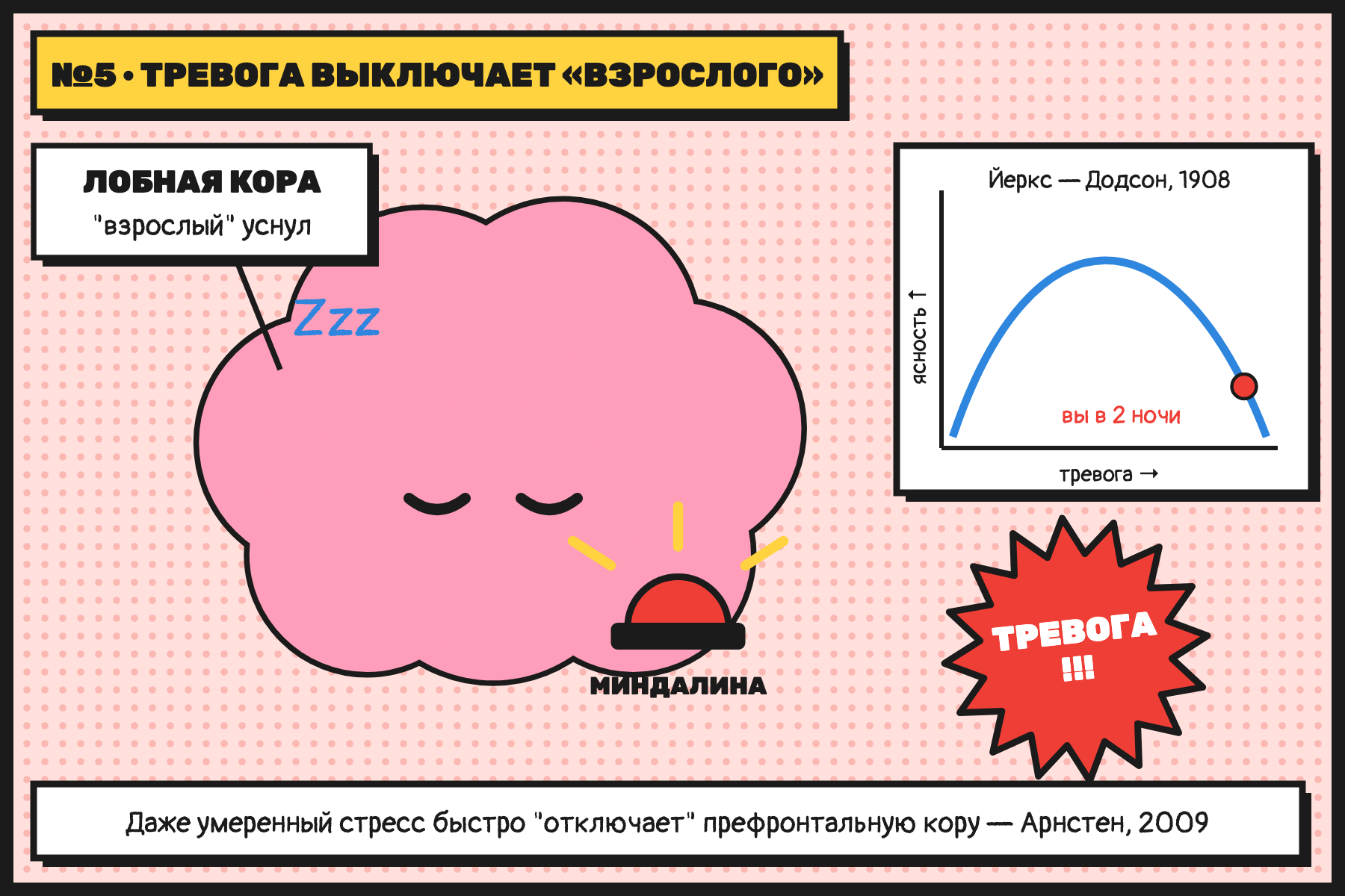 Пока воет тревога, лобная кора работает хуже